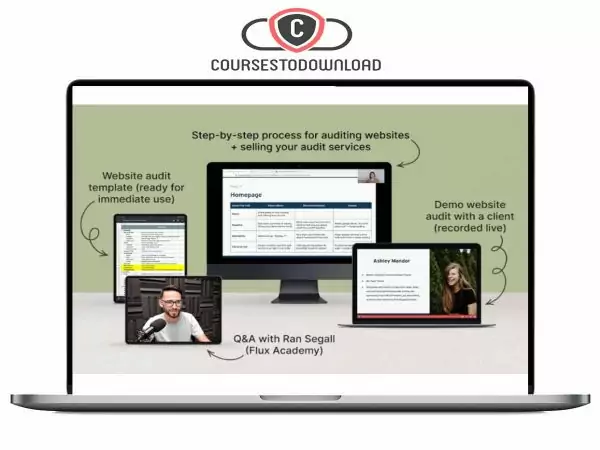 Danbee Shin - Website Audit Masterclass Download
